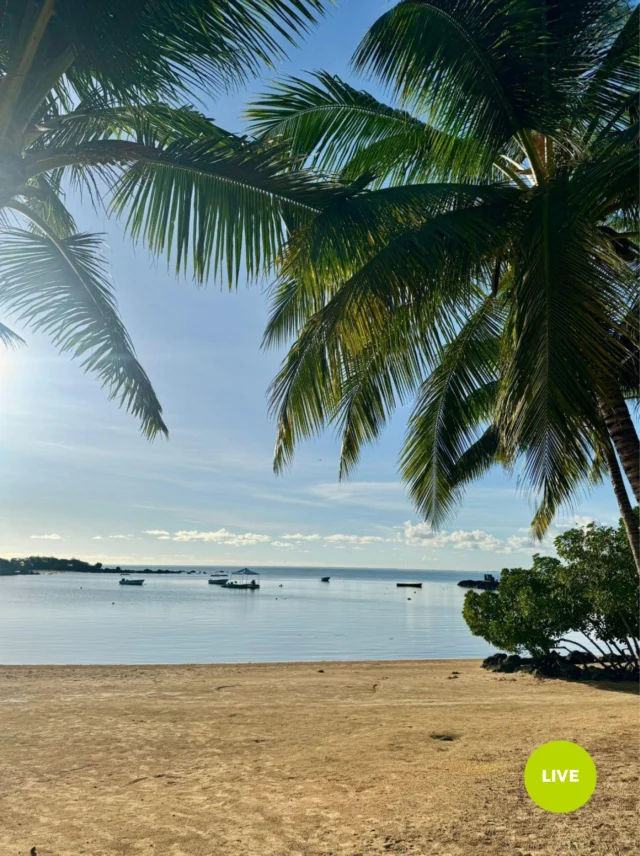 Bonjour 🌞
À ces matins-là qui n'appartiennent qu'à Azuri.
#AzuriVillage #LiveAtAzuri