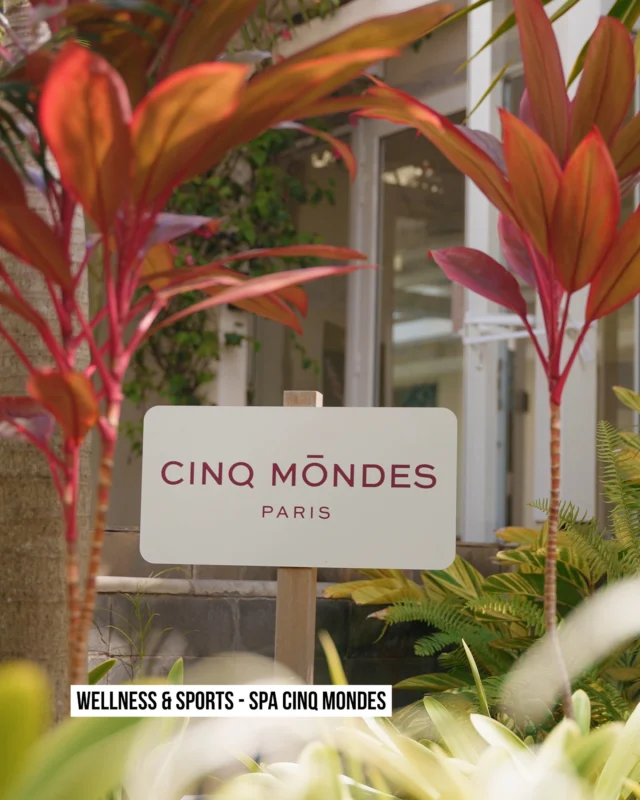 𝗕𝗶𝗲𝗻𝘃𝗲𝗻𝘂𝗲 𝗮𝘂 𝘀𝗽𝗮 𝗖𝗶𝗻𝗾 𝗠𝗼𝗻𝗱𝗲𝘀 ✨
Niché au cœur d'Azuri Village, notre spa vous ouvre les portes d'une parenthèse de bien-être unique.Rituels sur mesure, gestes experts et soins signature venus des quatre coins du monde : chaque détail est pensé pour éveiller les sens et apaiser le corps comme l'esprit.Sauna, bain de vapeur, espace relaxation et cadre verdoyant complètent l'expérience, pour un moment de sérénité absolue.📩 Réservations : spa.azuri@cinqmondes.com �📞 402 37 76#AzuriVillage #LivePlayInvestEnjoy #CinqMondes