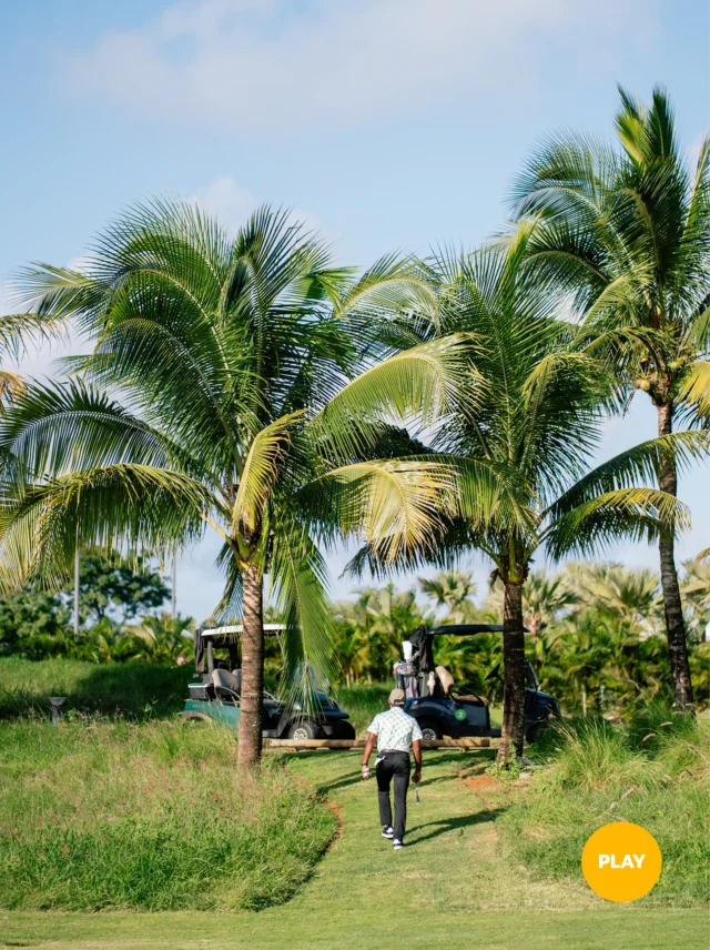 Just you, the fairway and the palms 🌴
There is something about walking the course at The Nine, framed by swaying coconut trees and open sky, that makes every round feel like a getaway.
#AzuriVillage #LivePlayInvestEnjoy #TheNine